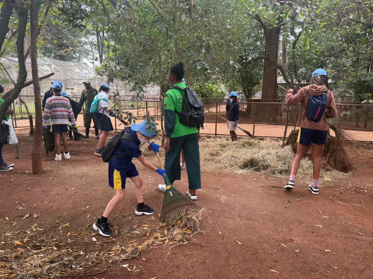 Safari Walk event image 3