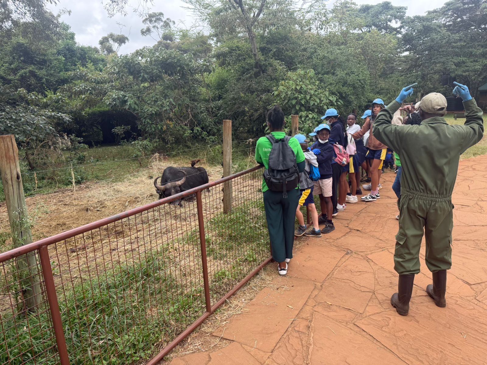 Safari Walk event image 9